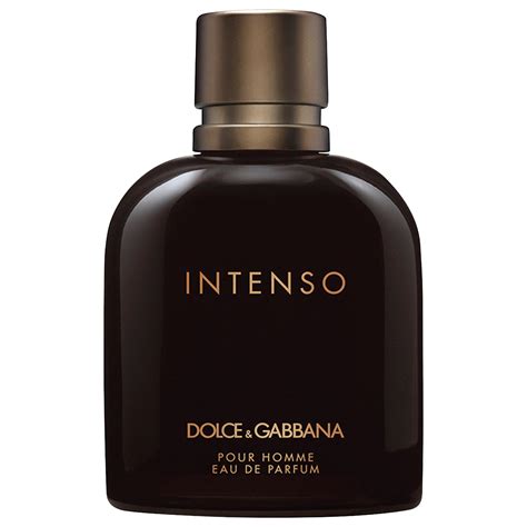 dolce gabbana intenso cologne|dolce and gabbana reviews.